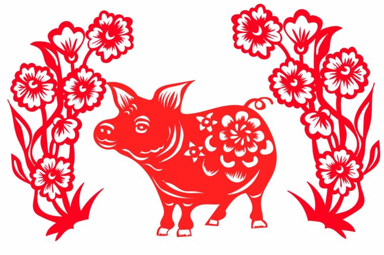 astrologie-chinoise-cochon
