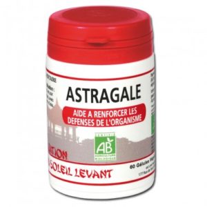 astragale-plante-chinoise-gelules