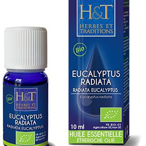 huiles-essentielles-eucalyptus