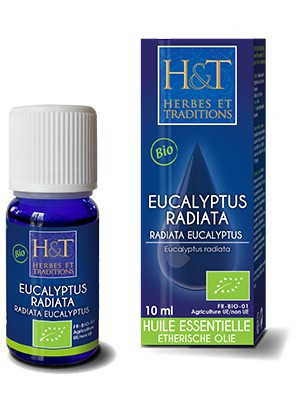 huiles-essentielles-eucalyptus