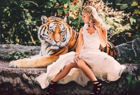 tigre-sauvage-foret-femme-blonde-en-jupe