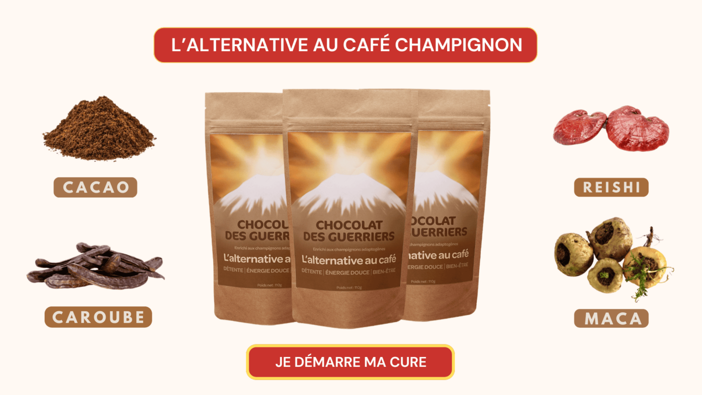 café-alternatif-sans-champignons-cacao-reishi