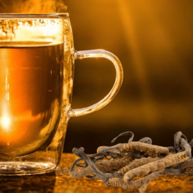 café-cordyceps-champignon-bienfaits
